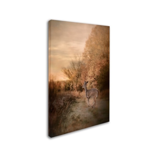 Jai Johnson 'Edge Of The Forest' Canvas Art,30x47